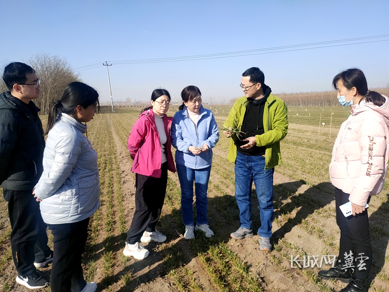 河北科技克服剧悔战胜太宁联城，逆袭重返前列