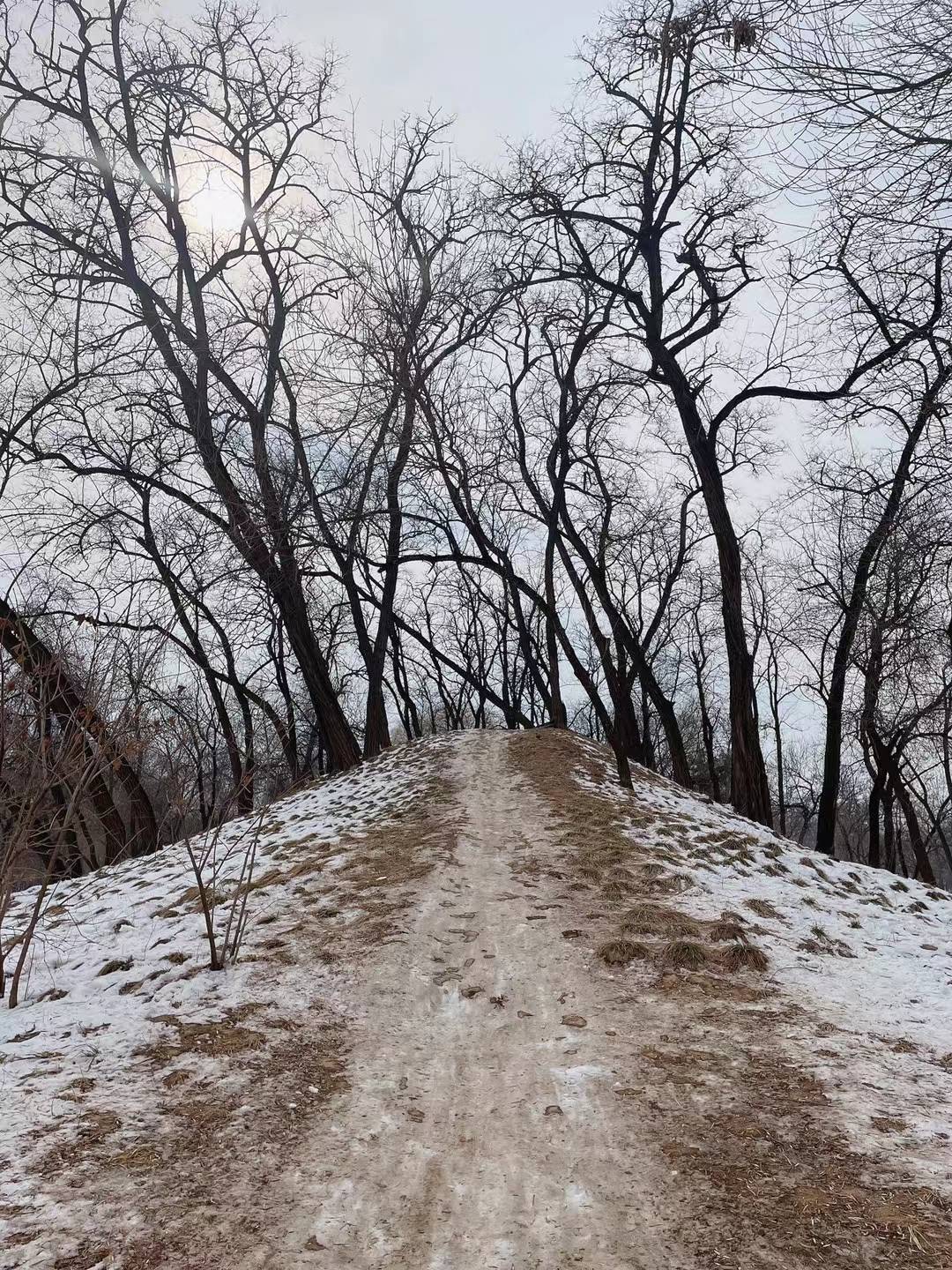 束手无策，望巅峰的路上波折不断